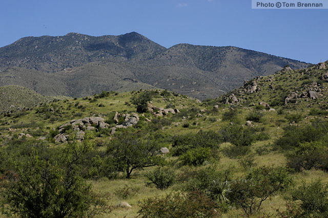Dos Cabezas Mountains
