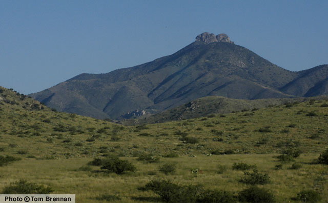 Dos Cabezas Mountains. Arizona
