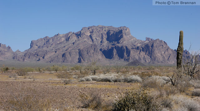 Kofa Mountains, Arizona