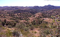 Pajarito Mountains, Arizona