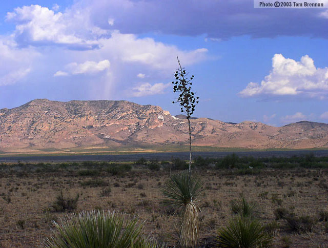 Peloncillo Mountains, Cochise County, Arizona