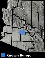 Snapping Turtle (Chelydra serpentina) Arizona Range Map