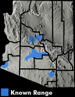 Pond Slider (Trachemys scripta) Arizona Range Map