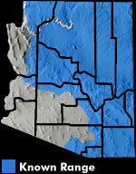 Barred Tiger Salamander (Ambystoma mavortium) Arizona Range Map