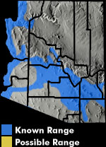 Spiny Softshell (Apalone spinifera) Arizona Range Map