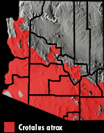 Western Diamond-backed Rattlesnake (Crotalus atrox) Arizona Range Map