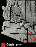 Twin-spotted Rattlesnake (Crotalus pricei) Arizona Range Map