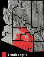 Tiger Rattlesnake (Crotalus tigris) Arizona Range Map