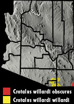 Ridge-nosed Rattlesnake (Crotalus willardi) Arizona Range Map