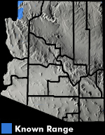 Agassiz's Desert Tortoise (Gopherus agassizii) Arizona Range Map