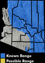 Canyon Treefrog (Hyla arenicolor) Arizona Range Map