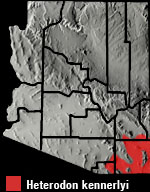 Heterodon kennerlyi (Mexican Hog-nosed Snake) Arizona Range Map