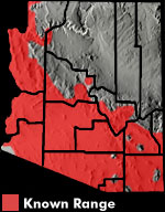 Gila Monster (Heloderma suspectum) Arizona Range Map