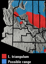 Milksnake (Lampropeltis triangulum) Arizona Range Map range