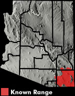 Texas Horned Lizard (Phrynosoma cornutum) Arizona Range Map