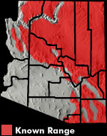 Greater Short-horned Lizard (Phrynosoma hernandesi) Arizona Range Map