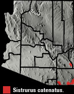 Massasauga (Sistrurus catenatus) Arizona Range Map