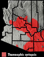 Black-necked Gartersnake (Thamnophis cyrtopsis) Arizona Range Map