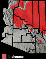 Terrestrial Gartersnake (Thamnophis elegans) Arizona Range Map