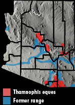 Mexican Gartersnake (Thamnophis eques) Arizona Range Map