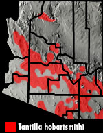 SMITH'S BLACK-HEADED SNAKE (Tantilla hobartsmithi) Arizona Range Map