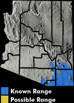 Ornate Box Turtle (Terrapene ornata) Arizona Range Map